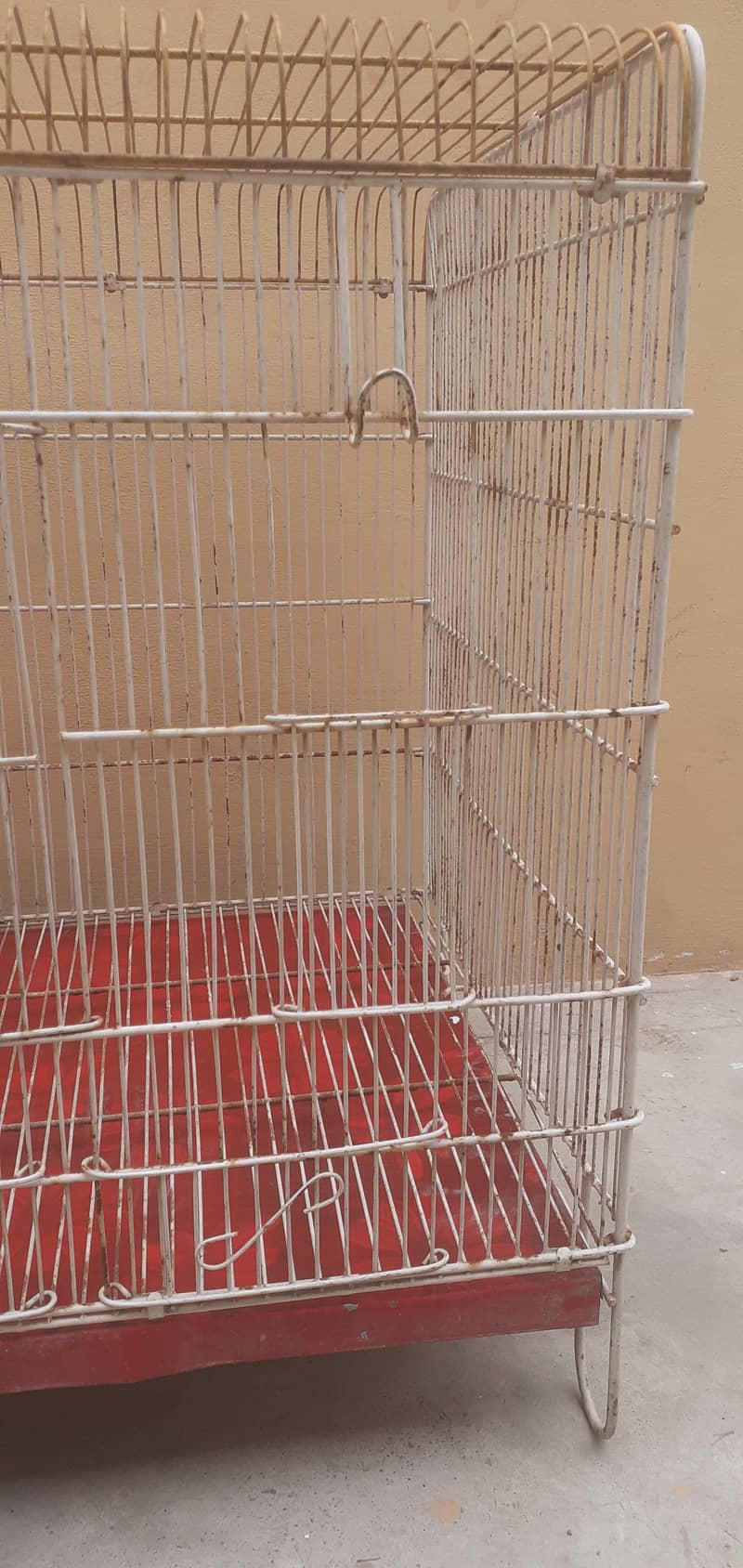 cages 1