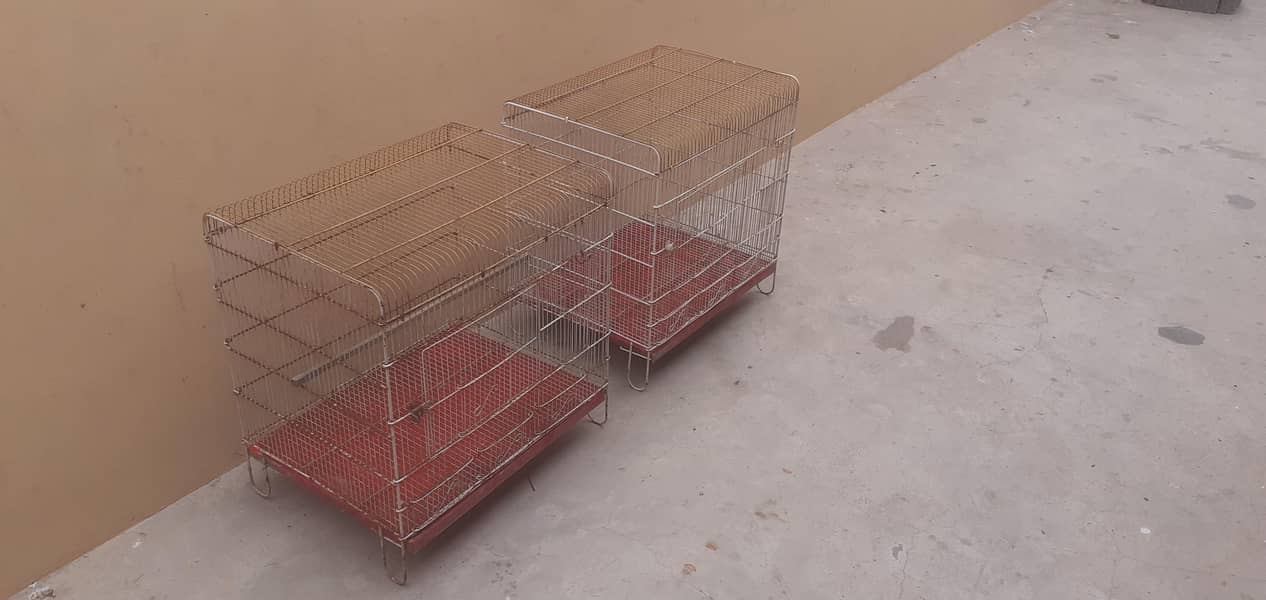 cages 4