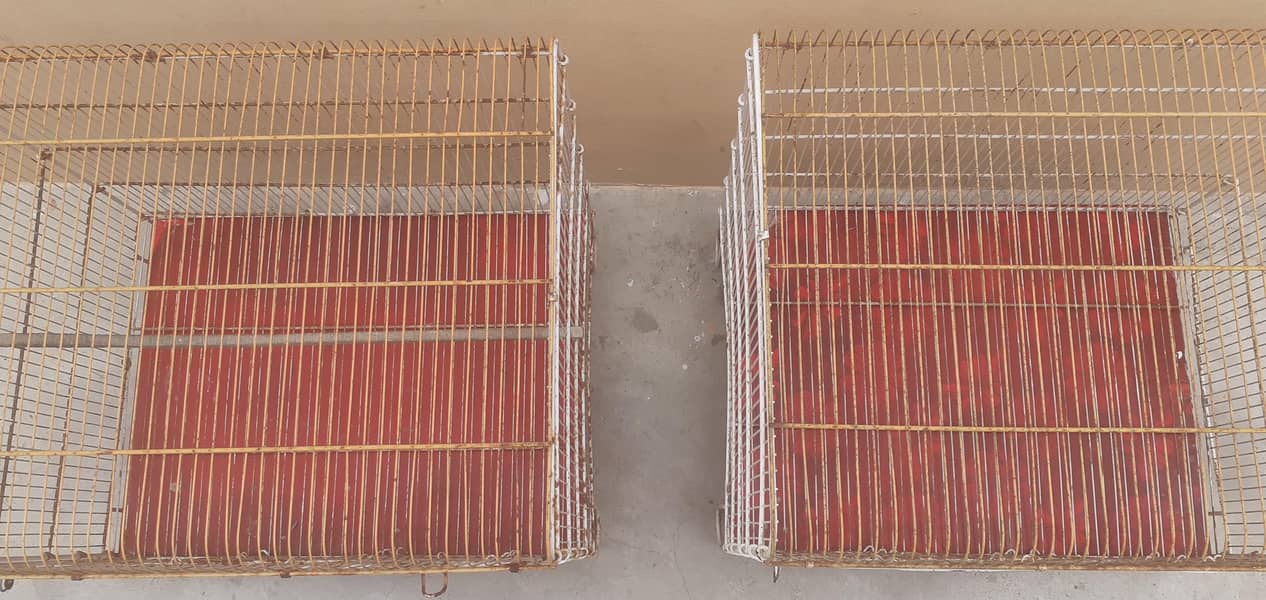 cages 5