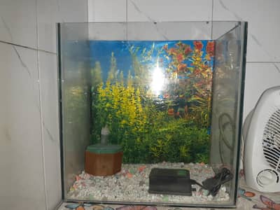 Aquarium For Sell