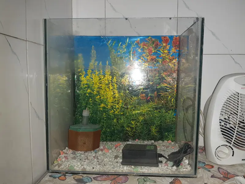 Aquarium For Sell — photo 2