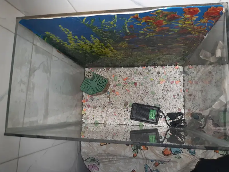 Aquarium For Sell — photo 3
