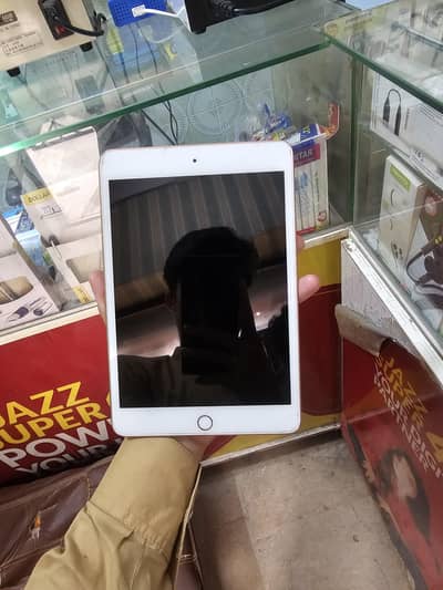 ipad mini 5 gold 10/10