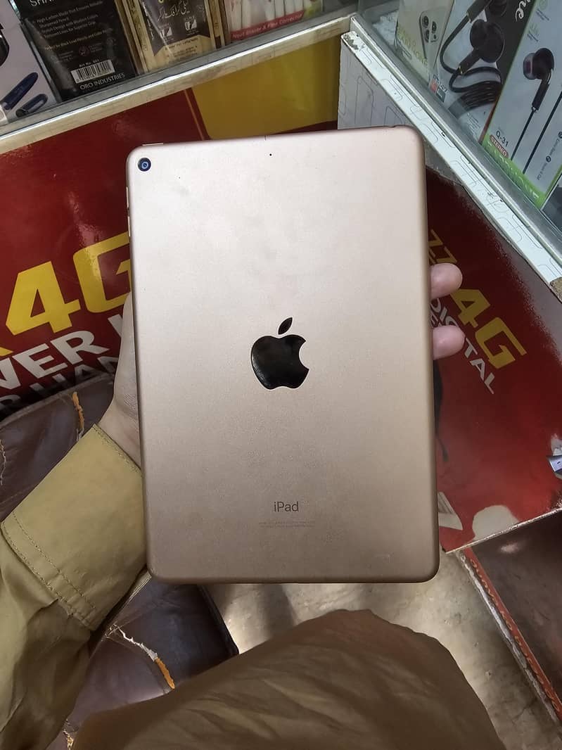ipad mini 5 gold 10/10 5