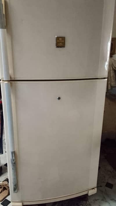 Fridge