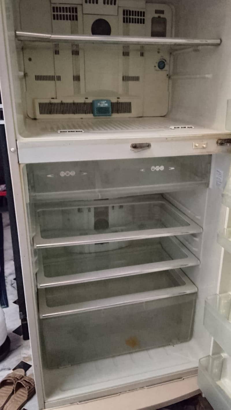 Fridge 1