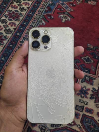 Apple iPhone 13 Pro Max