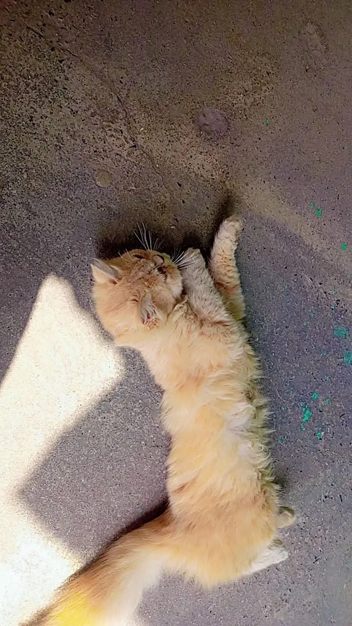 Cute and smart — photo 5