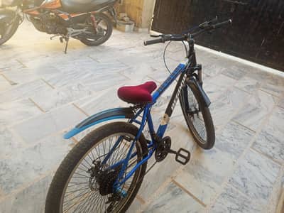 Mountain Bicycle