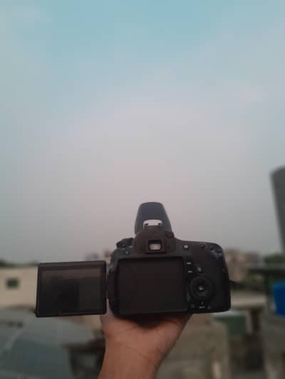 canon 60D with 18/55 flip screen and all asseries price final mic opti