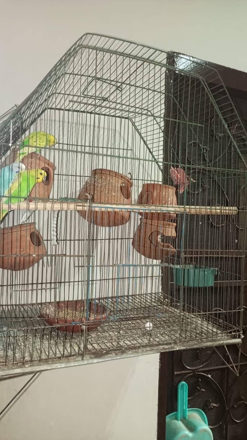 2 pair + cage 7