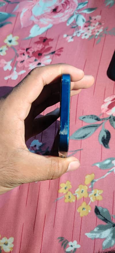Apple iPhone 12 jv
