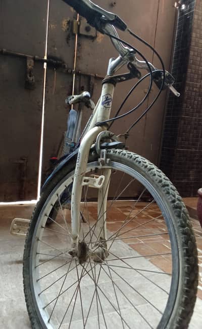 Japanese Cycle