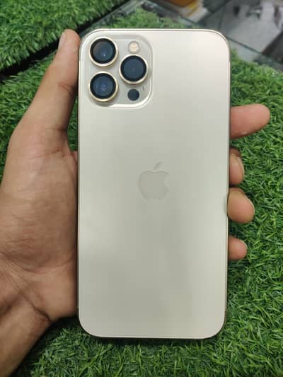 Apple iPhone 12 Pro Max