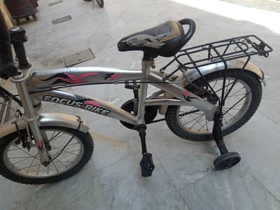 Grey Focus Bike For Sale