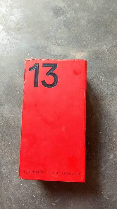 One Plus 13