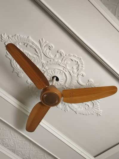 Parwaz fans For sale