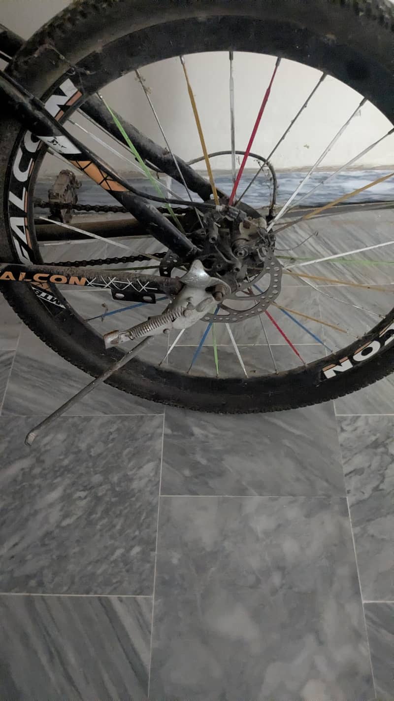 falcon cycle 1