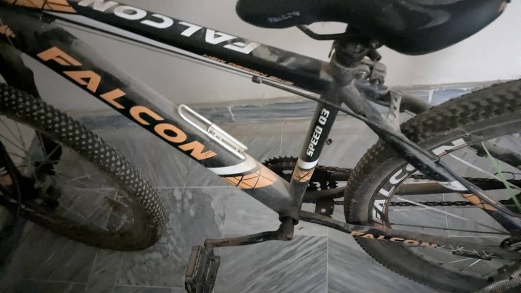 falcon cycle 5