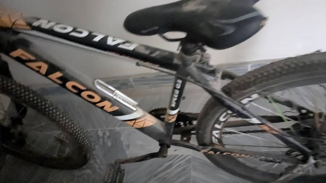 falcon cycle 6