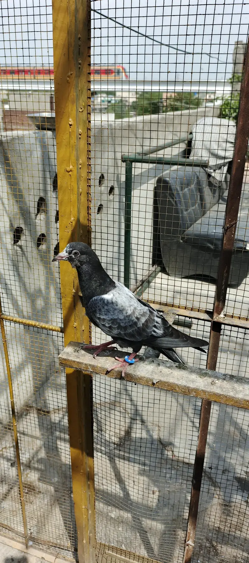 Tedey or Kamaghar Bachy hain — photo 5
