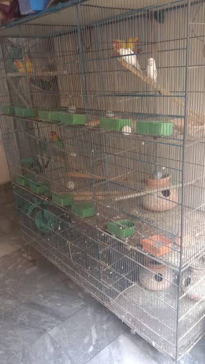 9 Box Breeding Cage+ 3 Breeder Pair (23000 Negotiable) Multan