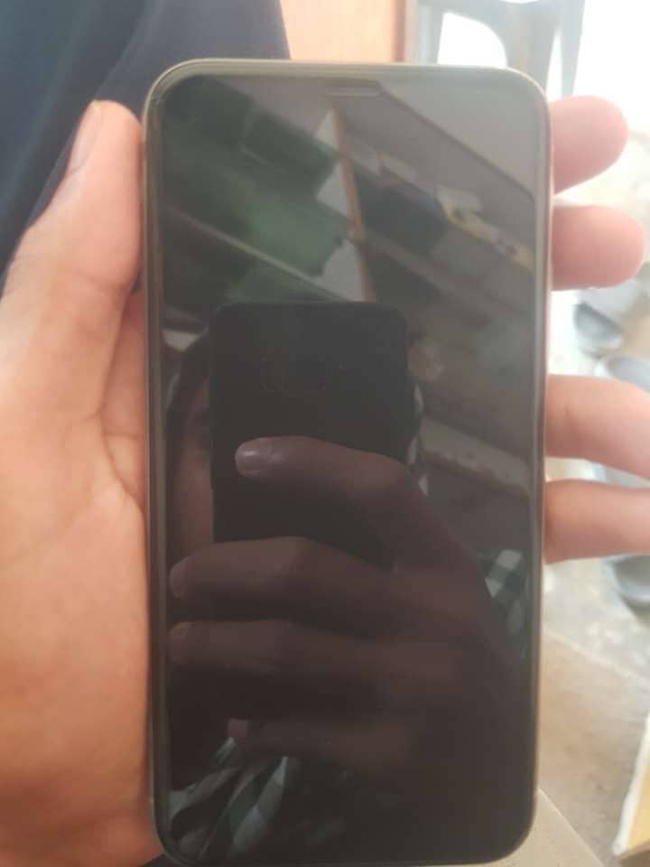 Apple 3