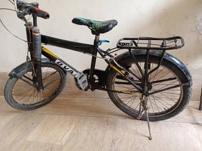 This cycle is so Cool And affordable