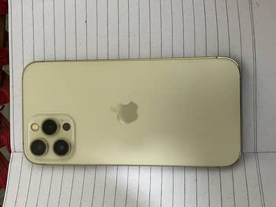 Apple iPhone 12 Pro Max