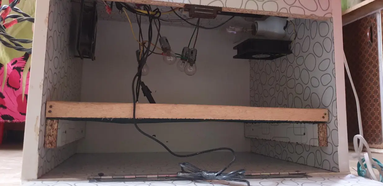 incubator AC DC SYSTEM urgent for sale — photo 2