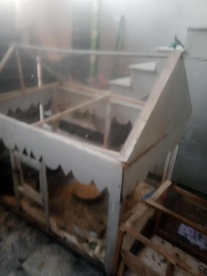 Asslam o alyekum Woo durable cage for sale. Location Rawalpindi. — photo 2