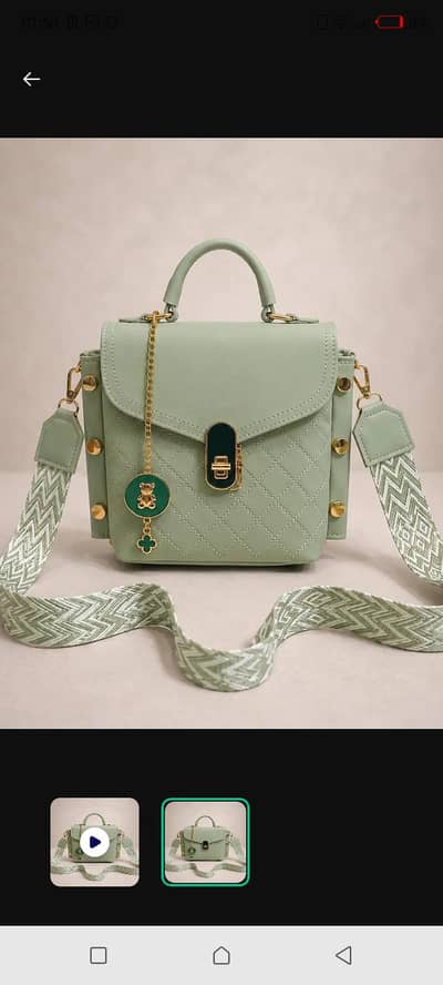 handsbag