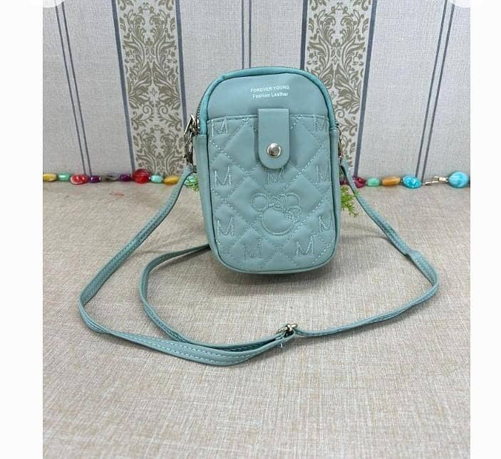 handsbag 2