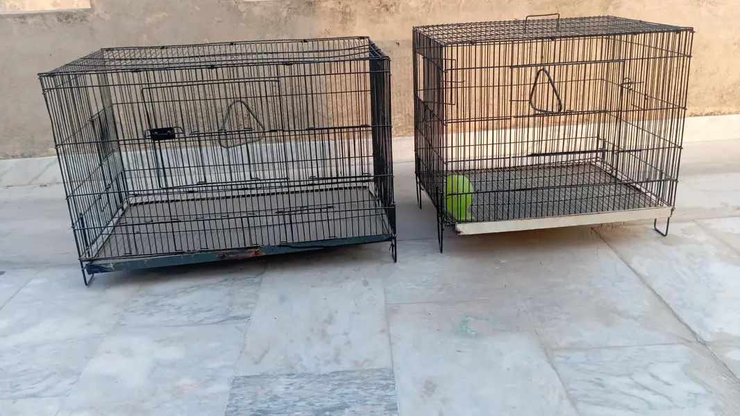 urgent sale — photo 2