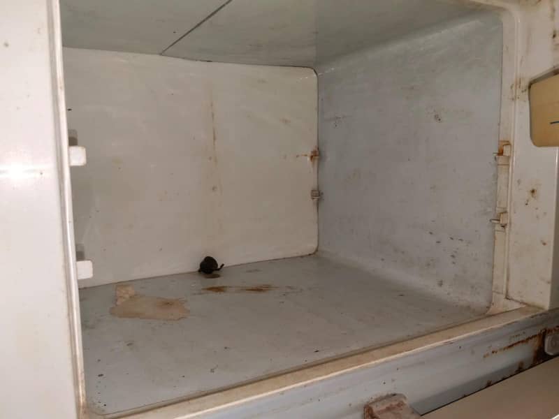 Haier fridge 3