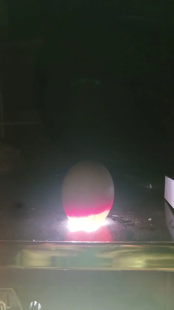 56 Eggs Full Automatic Incubator with silicone heating wire — photo 11