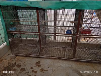 cage 12 portion