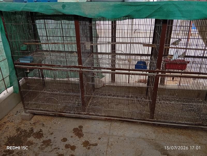 cage 12 portion 0