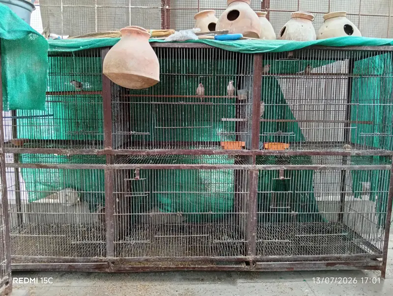 cage 12 portion — photo 2