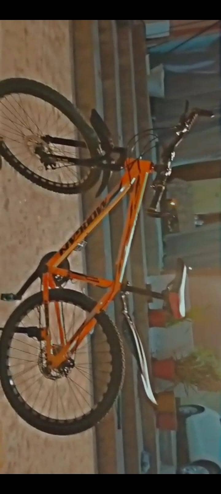 Morgan cycle 1