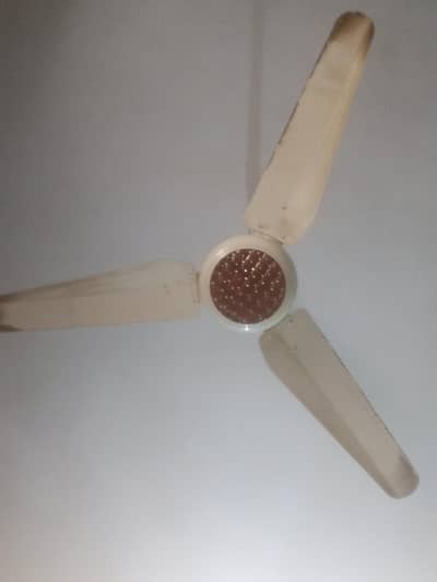 Ac fan