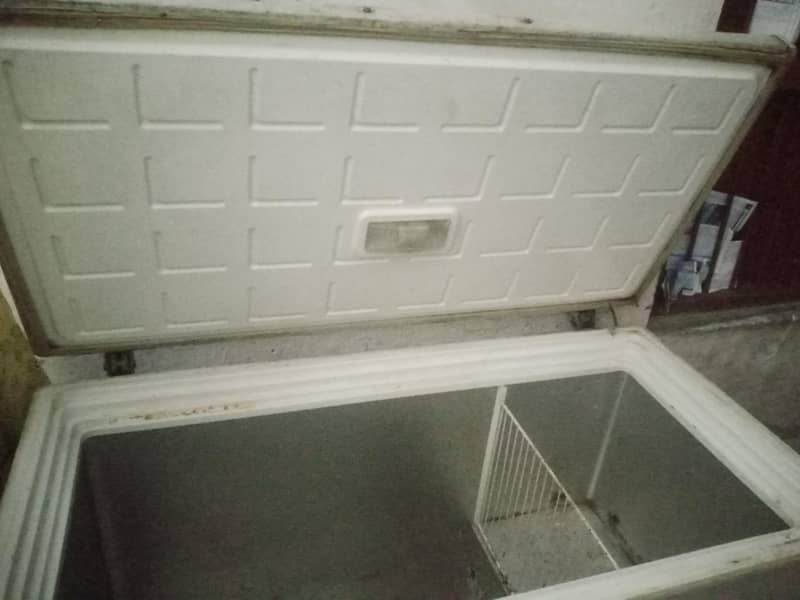 freezer 1