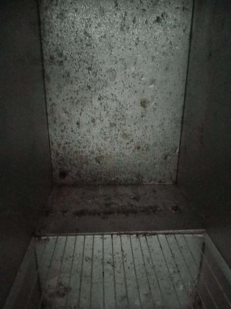 freezer 2