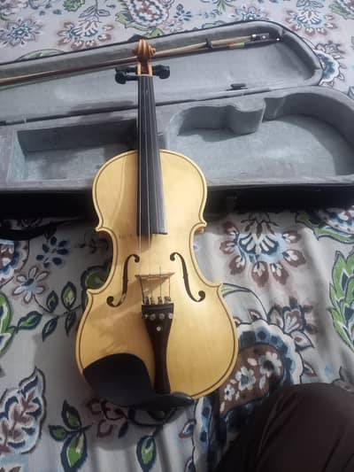 pure wodden violin