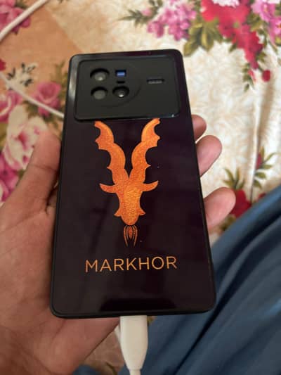 ViVo. X80