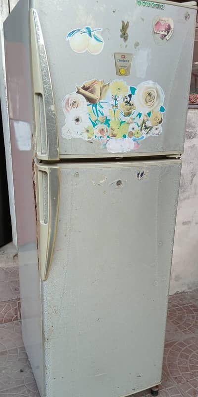 medium size fridge All in good condition