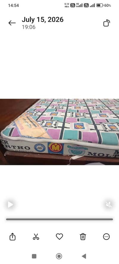molty Foam-Ortho