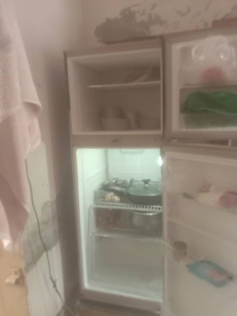 pel fridge 1