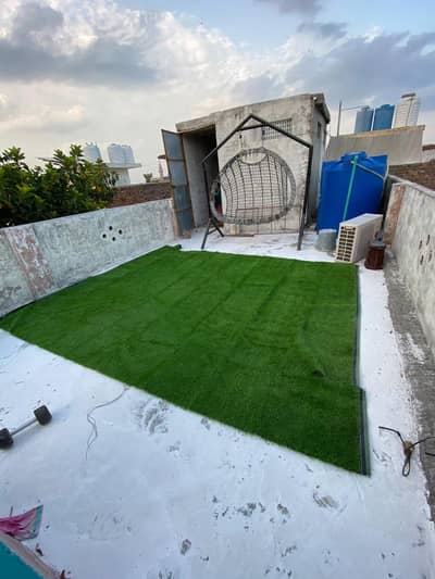 jhola plus green carpet