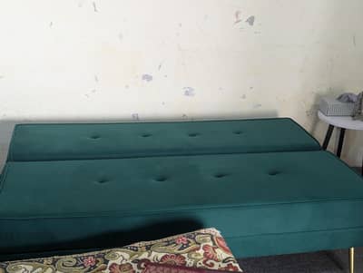 Molty Home sofa cum bed